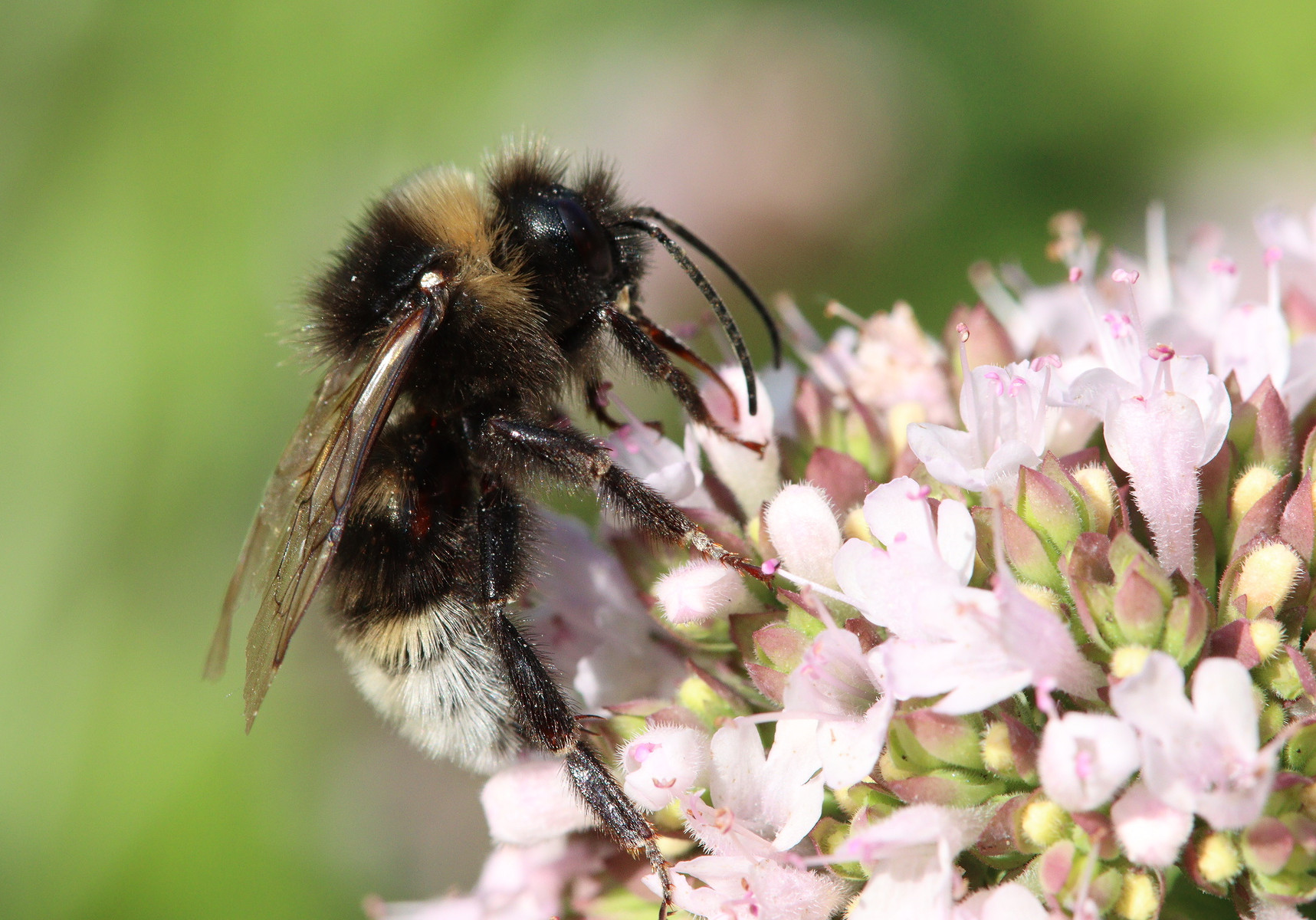 Foto: Dennis Lamczak / Flickr / CC BY-SA 2.0