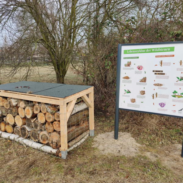 Berlins neuster Wildbienen-Lehrpfad