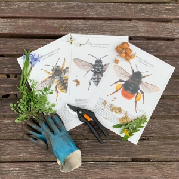 Ein vorweihnachtlicher Bienengru&szlig; &ndash; Geschenkideen f&uuml;r Gro&szlig; und Klein