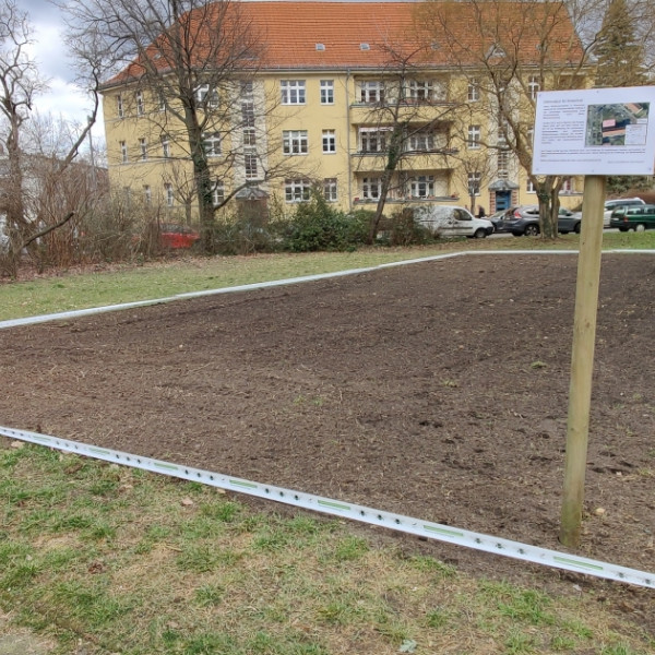 Neue Blühflächen für Berlin