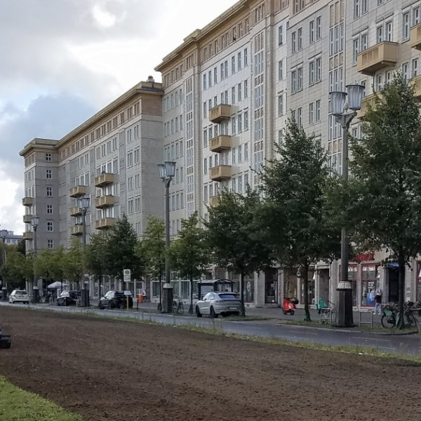 (Noch) Mehr Wildblumenwiesen für Berlin!