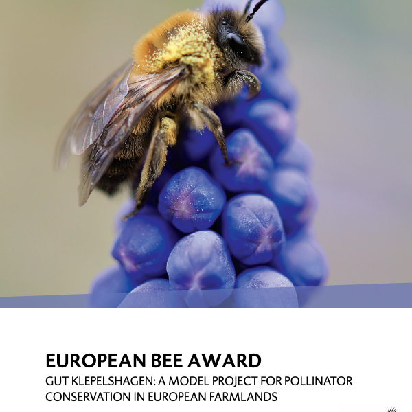 Top 5 beim European Bee Award 2025