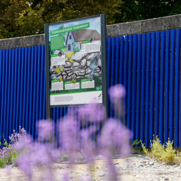 Wildbienenlehrpfad im Spreebogenpark bl&uuml;ht erneut auf!