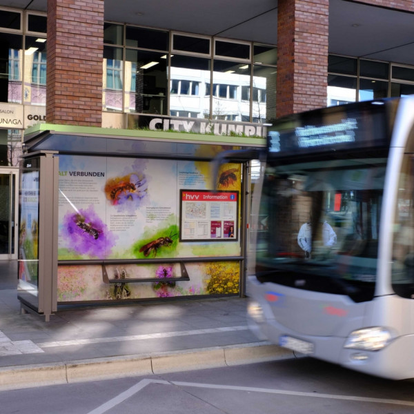 Wildbienenschutz in Hamburg - 2023