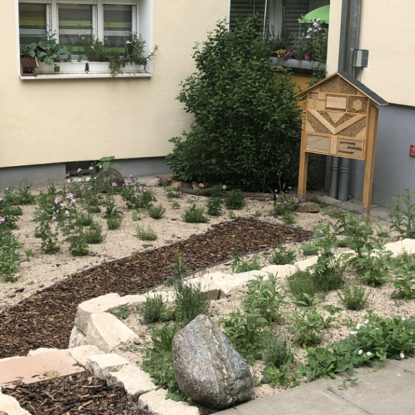 Wohnungsgenossenschaft und Insektenschutz &ndash; passt das zusammen?