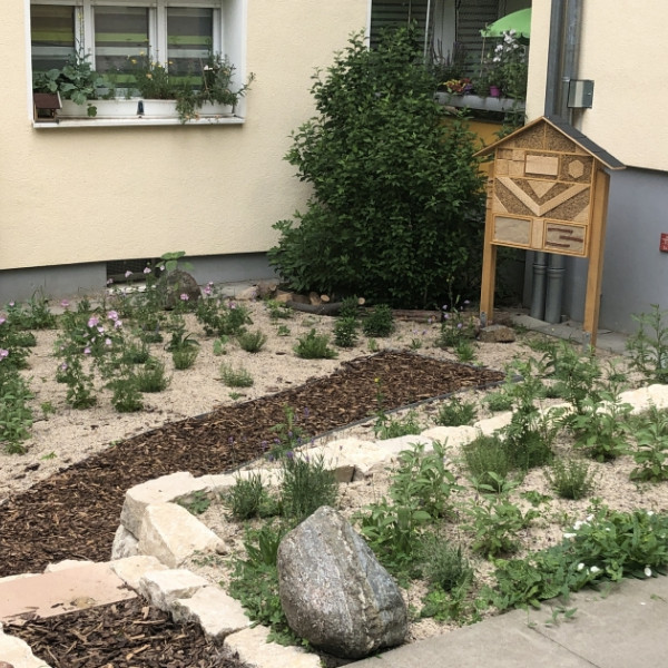 Wohnungsgenossenschaft und Insektenschutz &ndash; passt das zusammen?